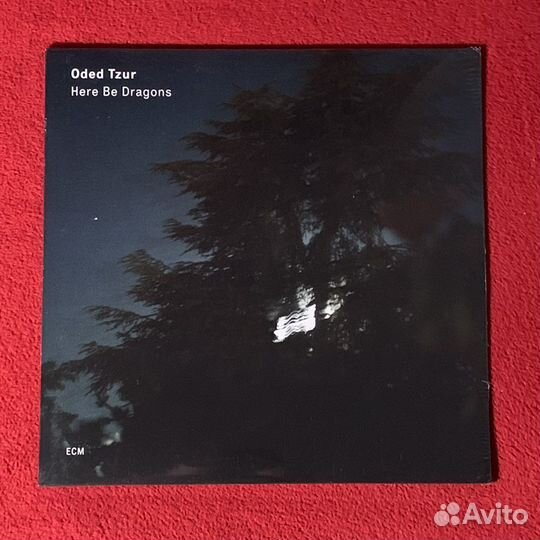 Oded Tzur - Here Be Dragons LP