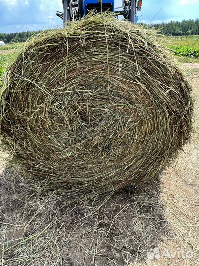 Продается сено в рулонах