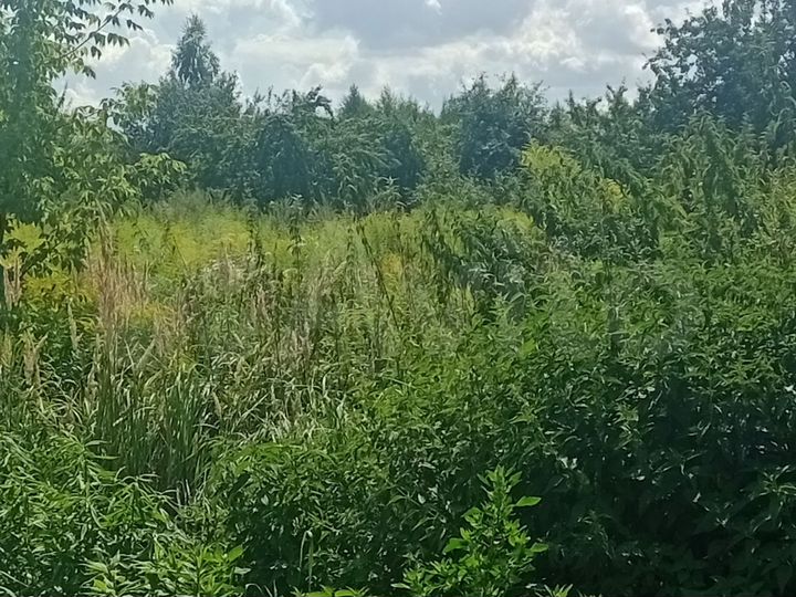 Участок 5,3 сот. (СНТ, ДНП)