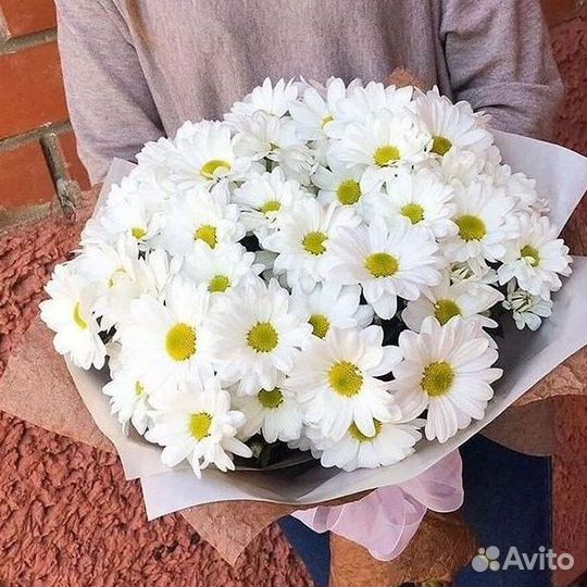 Хризантема. Букеты Цветы доставка