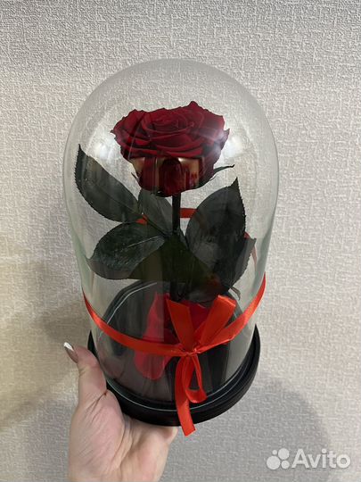 Роза в колбе