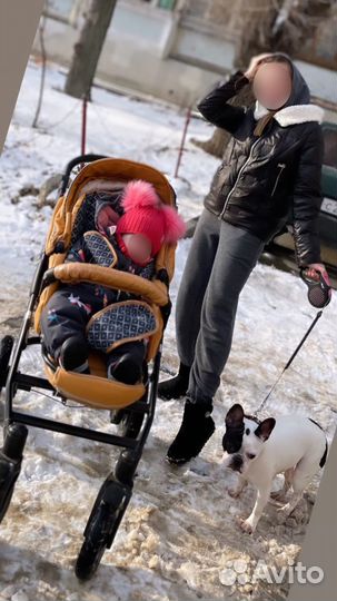 Коляска 3 в 1