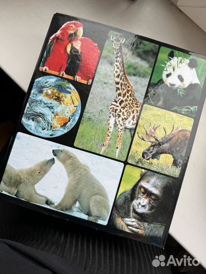 В мире дикой природы