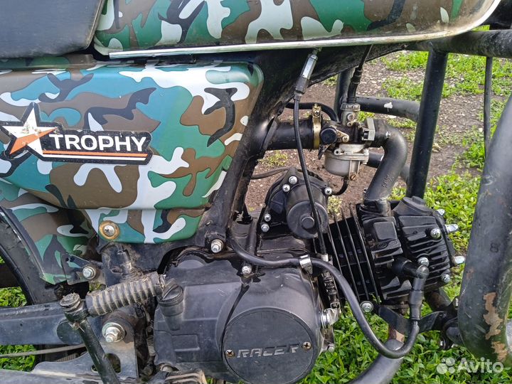 Альфа трофи