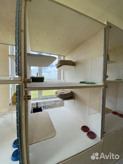 Гостиница для кошек