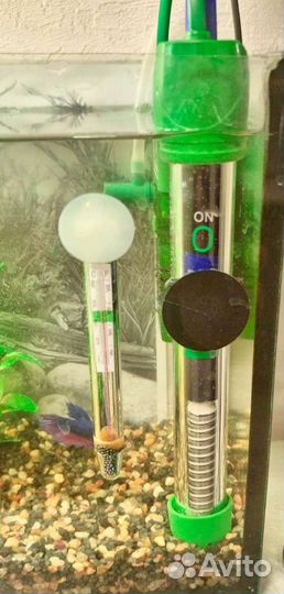 Аквариум с рыбками