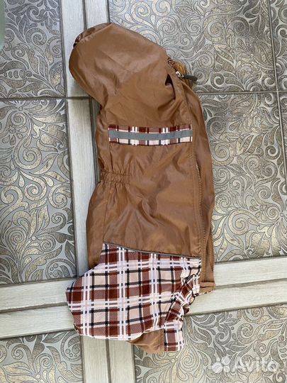 Одежда для собак такса