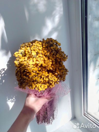 Букетики сухоцветы