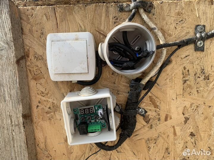 Брудер для цыплят