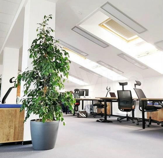 Свободного назначения, 255 кв.м