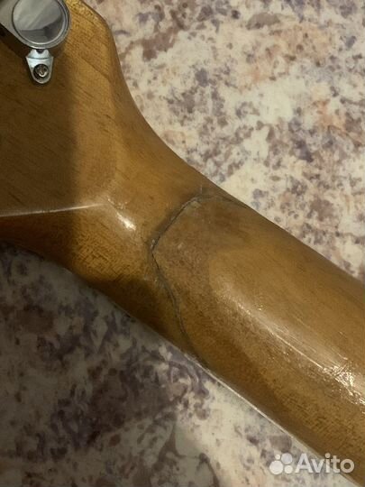 Акустическая гитара elitaro e4010n