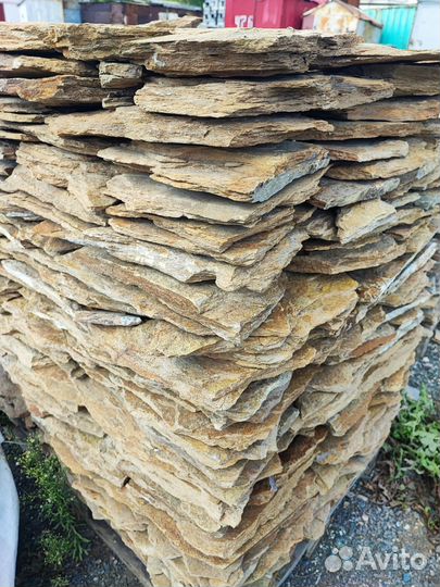 Золотая осень 500 р м2