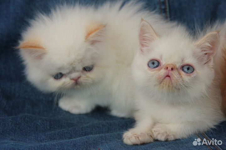 Экстремального типа