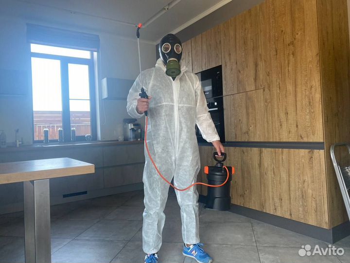 Уничтожение тараканов, клопов, клещей, мышей, блох