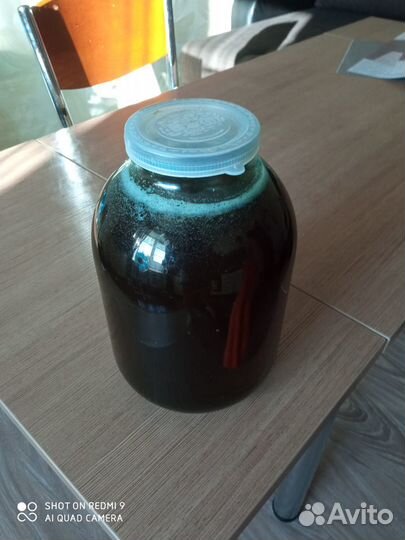 Продам оптом гречишный мёд, темный