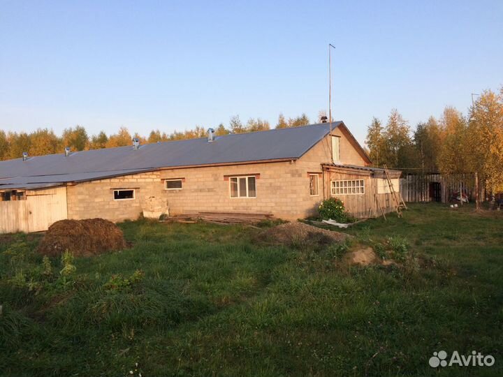 Продажа здания