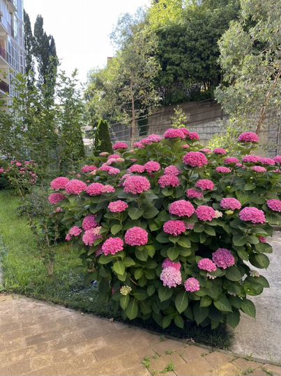 1-к. квартира, 45 м², 1/3 эт.