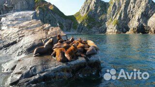 Морские экскурсии/рыбалка,прогулки, туризм