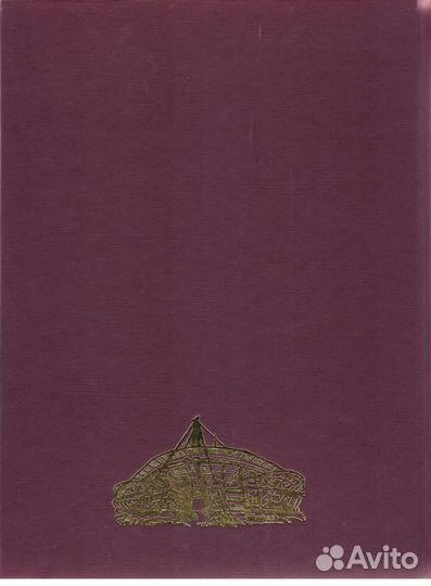 Официальная история футбольного клуба «Локомотив»