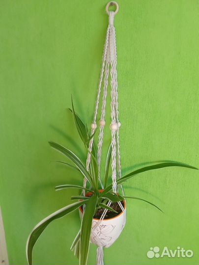 Кашпо подвесное макраме для цветов - 8 вариантов