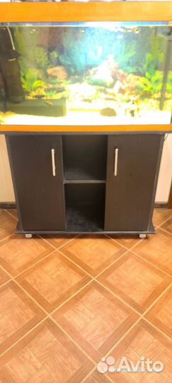 Аквариум