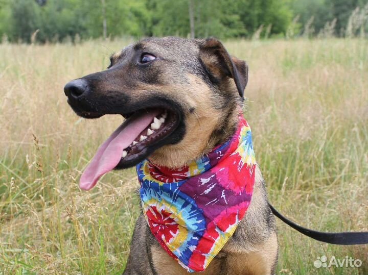 Предательски вернули как ненужную вещь