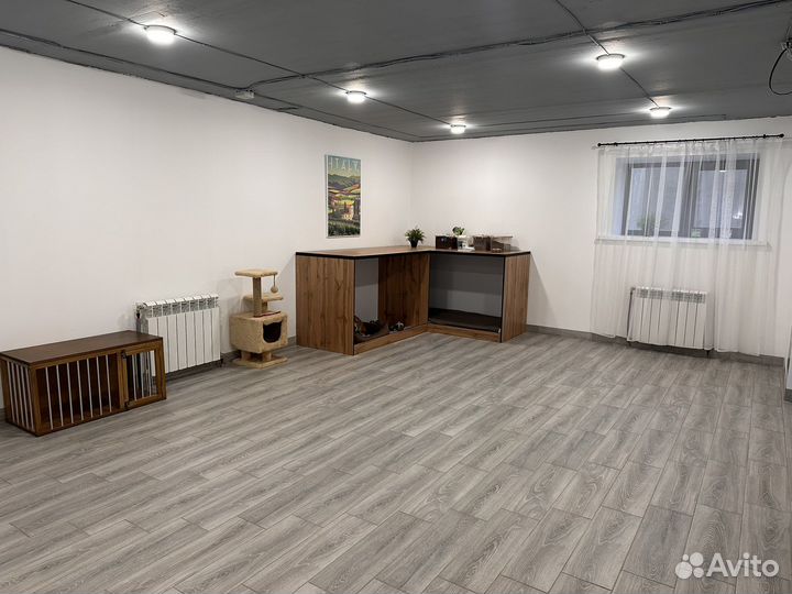 Профессиональная передержка собак