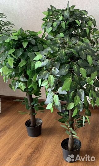 Дерево, искусственный цветок в горшке: фикус манго