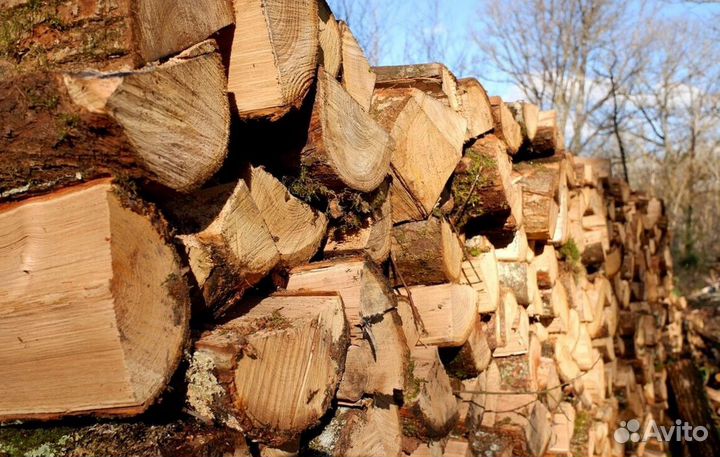 Дрова на дачу