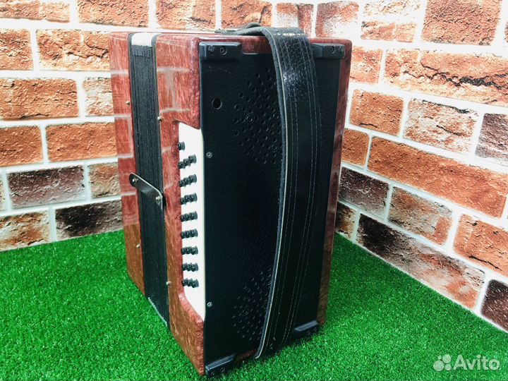 Z.8493 Гармонь 