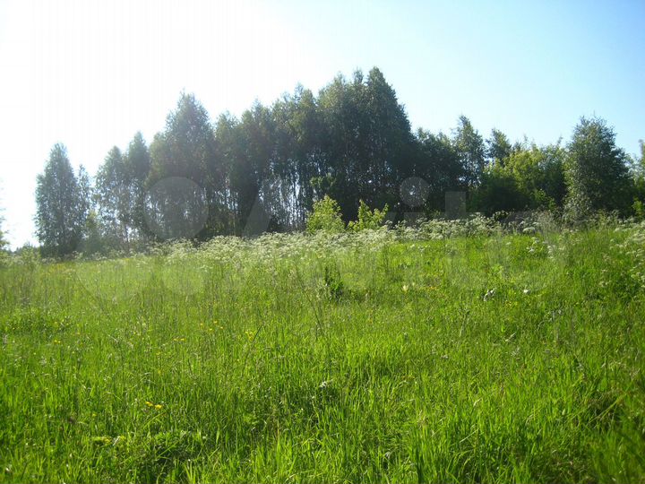 Участок 55 сот. (ИЖС)