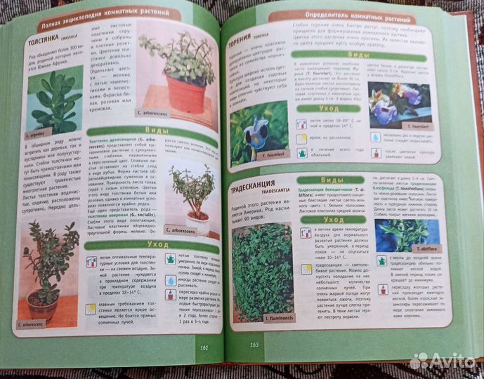 Полная энциклопедия комнатных растений