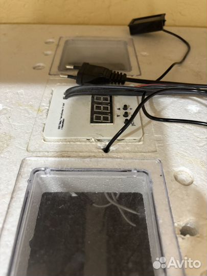 Инкубатор 77яиц