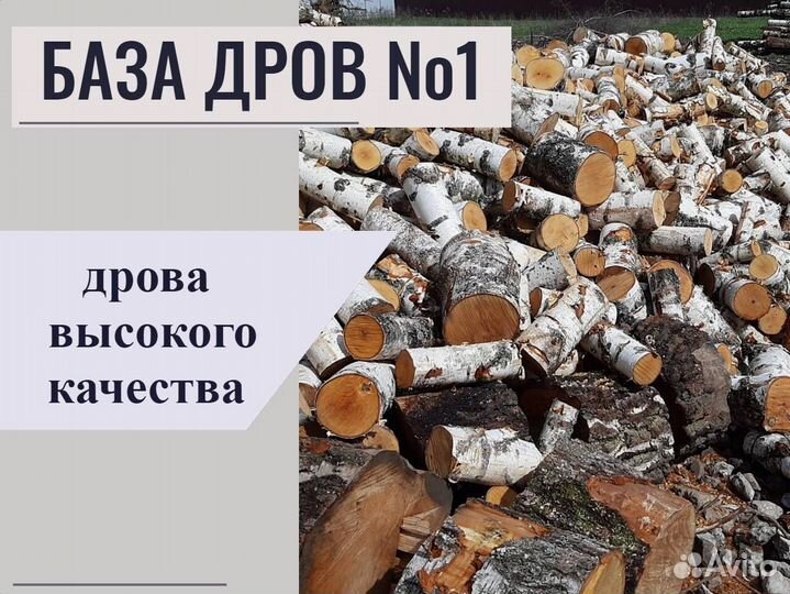 Дрова осина