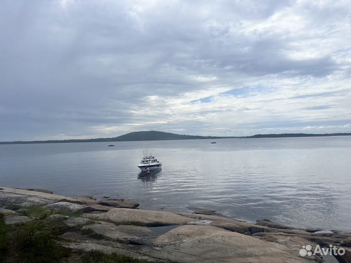 Морские прогулки, Кузова, Соловки, рыбалка Кемь