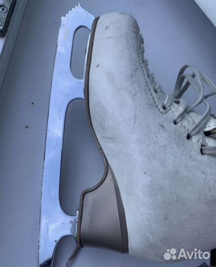 Фигурные коньки Edea Chorus белые