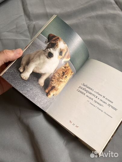 Книги о собаках и о кошках