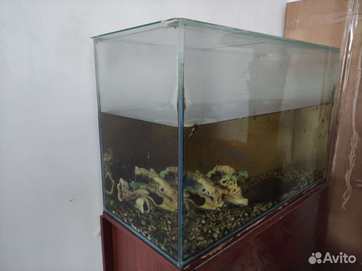 Аквариум с рыбой