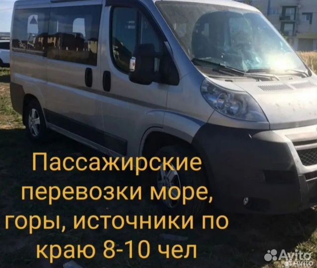 Пассажирские перевозки минивэн