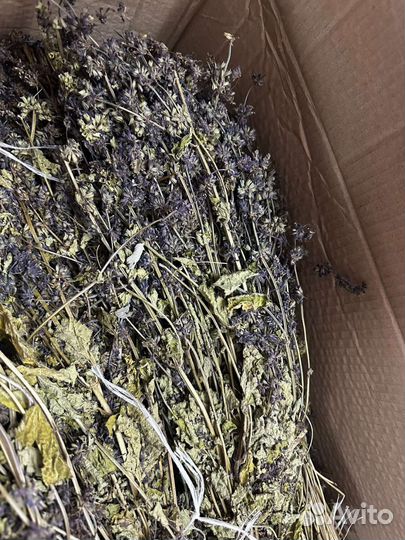 Шалфей в пучках