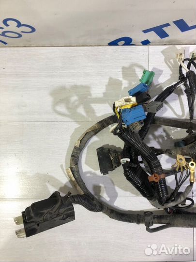 Проводка моторного отсека honda accord 8 2.4 ат се