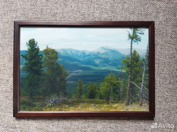 Фотографии природы в рамке в ассортименте