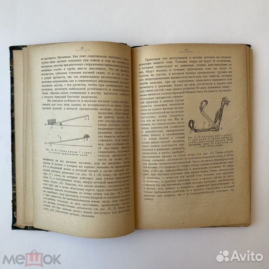 Е.А. Аркин. Физиология человека. 1919 год