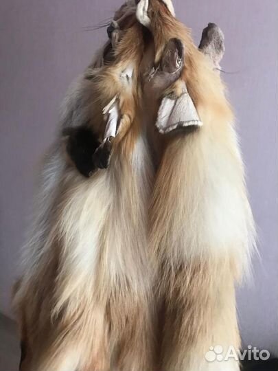 Шкуры рыжей лисы,фабричной выделки