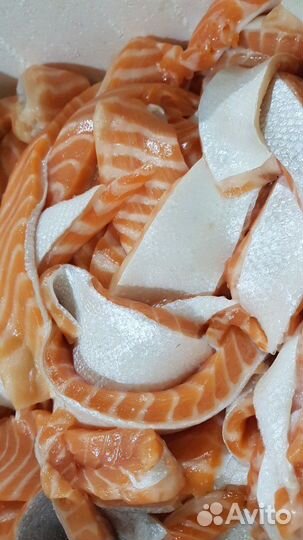 Брюшки лосося см