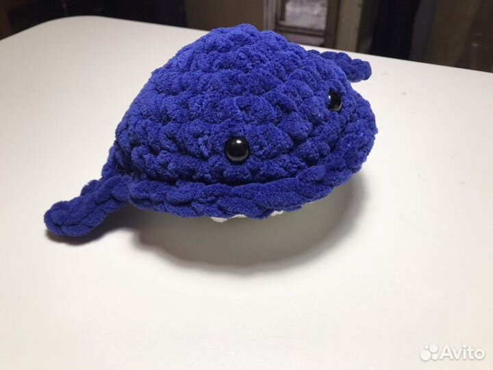 Синий китенок