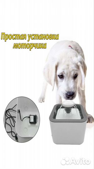 Фонтан-поилка для животных