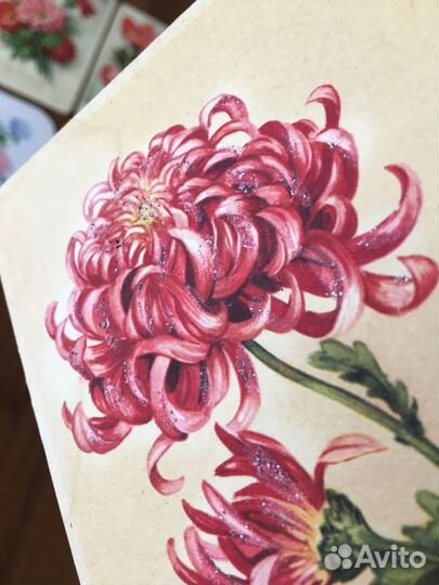 Открытки из СССР цветы 60 годов