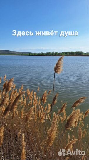 Земельный участок с озером