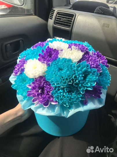 Хризантема кустовая белая и цветная